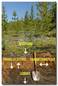 newsoilprocesses.jpg